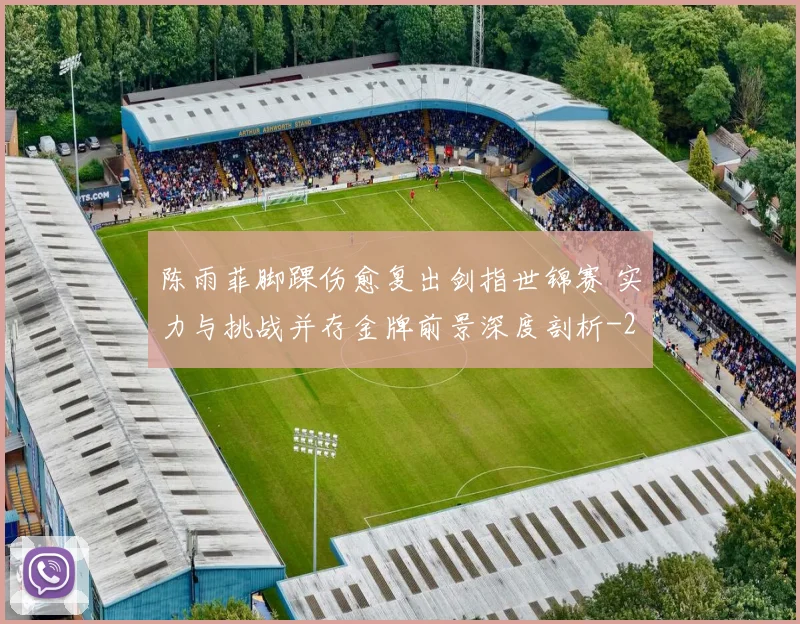 陈雨菲脚踝伤愈复出剑指世锦赛 实力与挑战并存金牌前景深度剖析