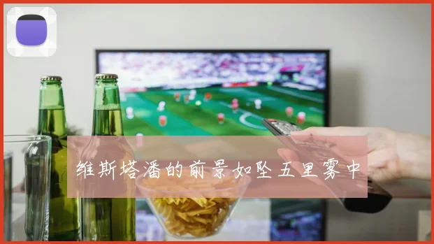 维斯塔潘的前景如坠五里雾中